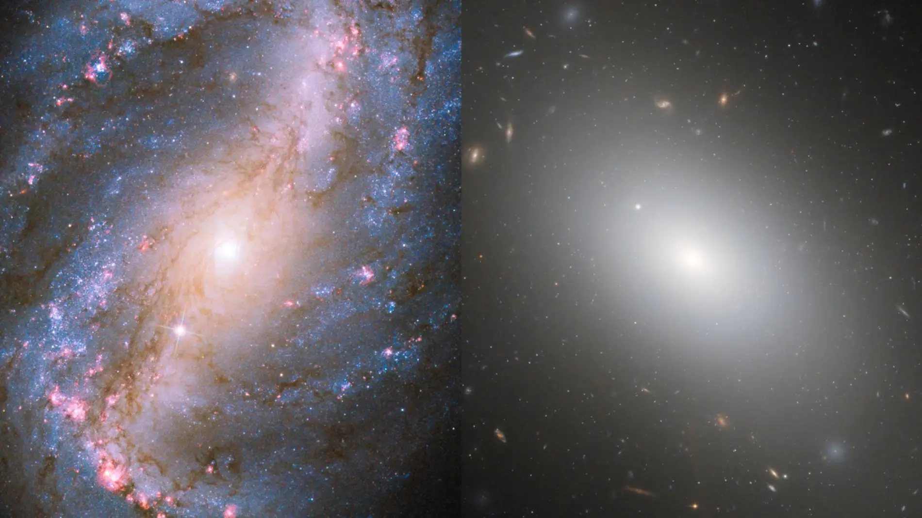 La division entre galaxias vivas y muertas se ha quedado obsoleta