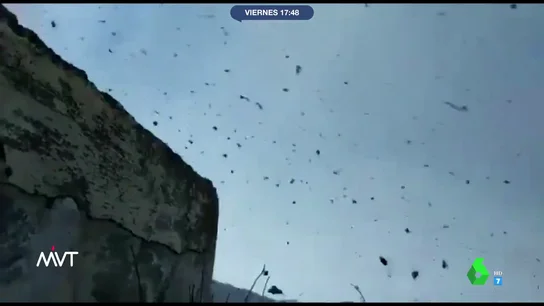 Lluvia de piedras de ceniza en La Palma Lluvia de piedras de ceniza en La Palma