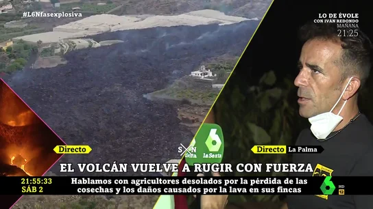 Dueño de una platanera de La Palma Dueño de una platanera de La Palma