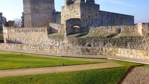 Castillo de Zamora Castillo de Zamora