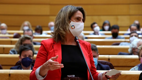 La ministra de Transición Ecológica y Reto Demográfico, Teresa Ribera, durante una sesión de control en el pleno del Senado La ministra de Transición Ecológica y Reto Demográfico, Teresa Ribera, durante una sesión de control en el pleno del Senado
