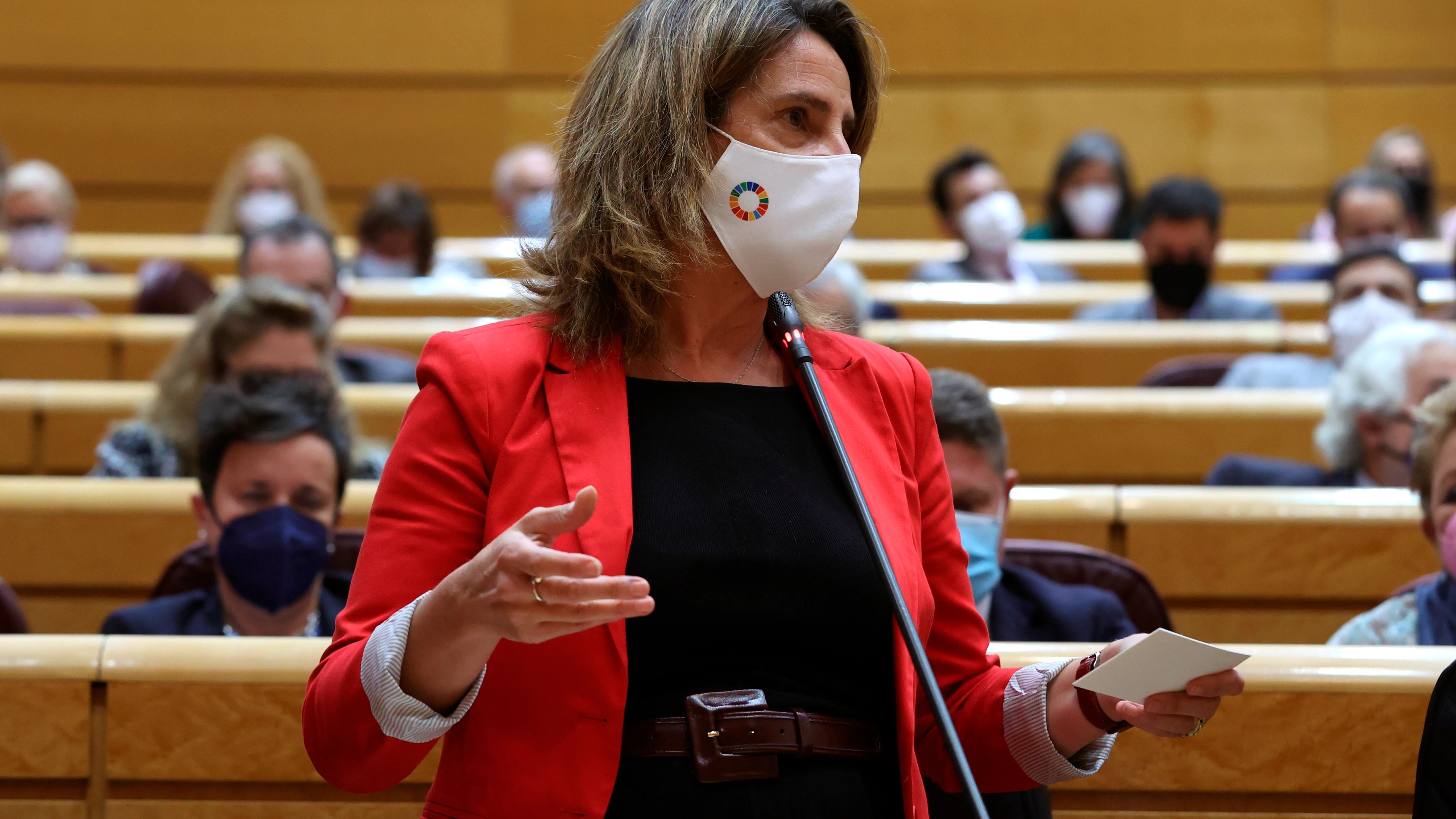 La ministra de Transición Ecológica y Reto Demográfico, Teresa Ribera, durante una sesión de control en el pleno del Senado