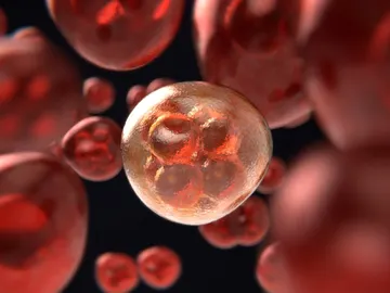 Células cancerígenas Células cancerígenas