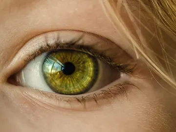 ¿Afecta el color de ojos a la visión? ¿Afecta el color de ojos a la visión?