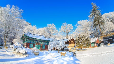 Corea del Sur