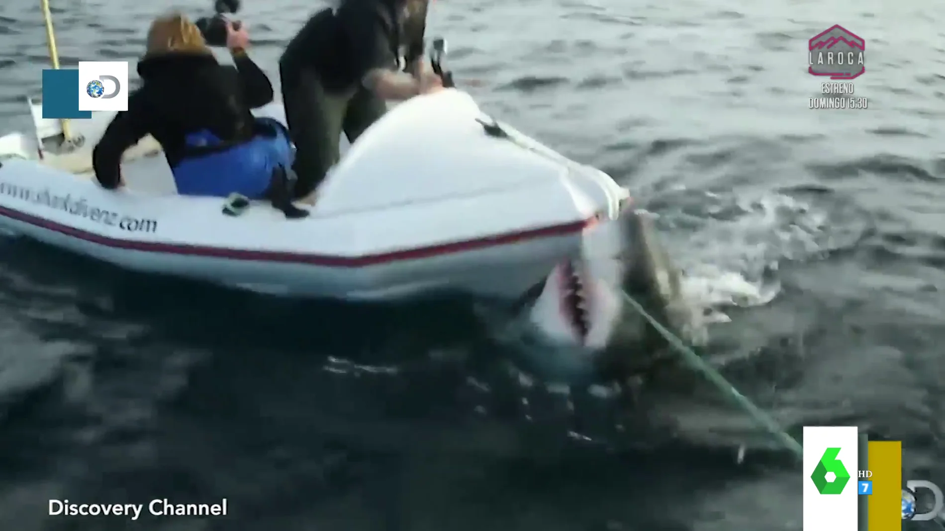 Un tiburón blanco ataca a un grupo de documentalistas