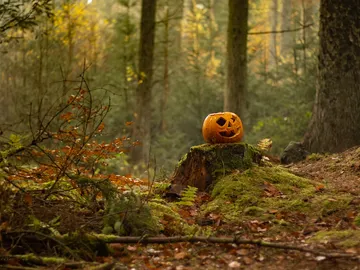 Tres destinos esenciales para los amantes de Halloween: Irlanda, México y Estados Unidos Tres destinos esenciales para los amantes de Halloween: Irlanda, México y Estados Unidos
