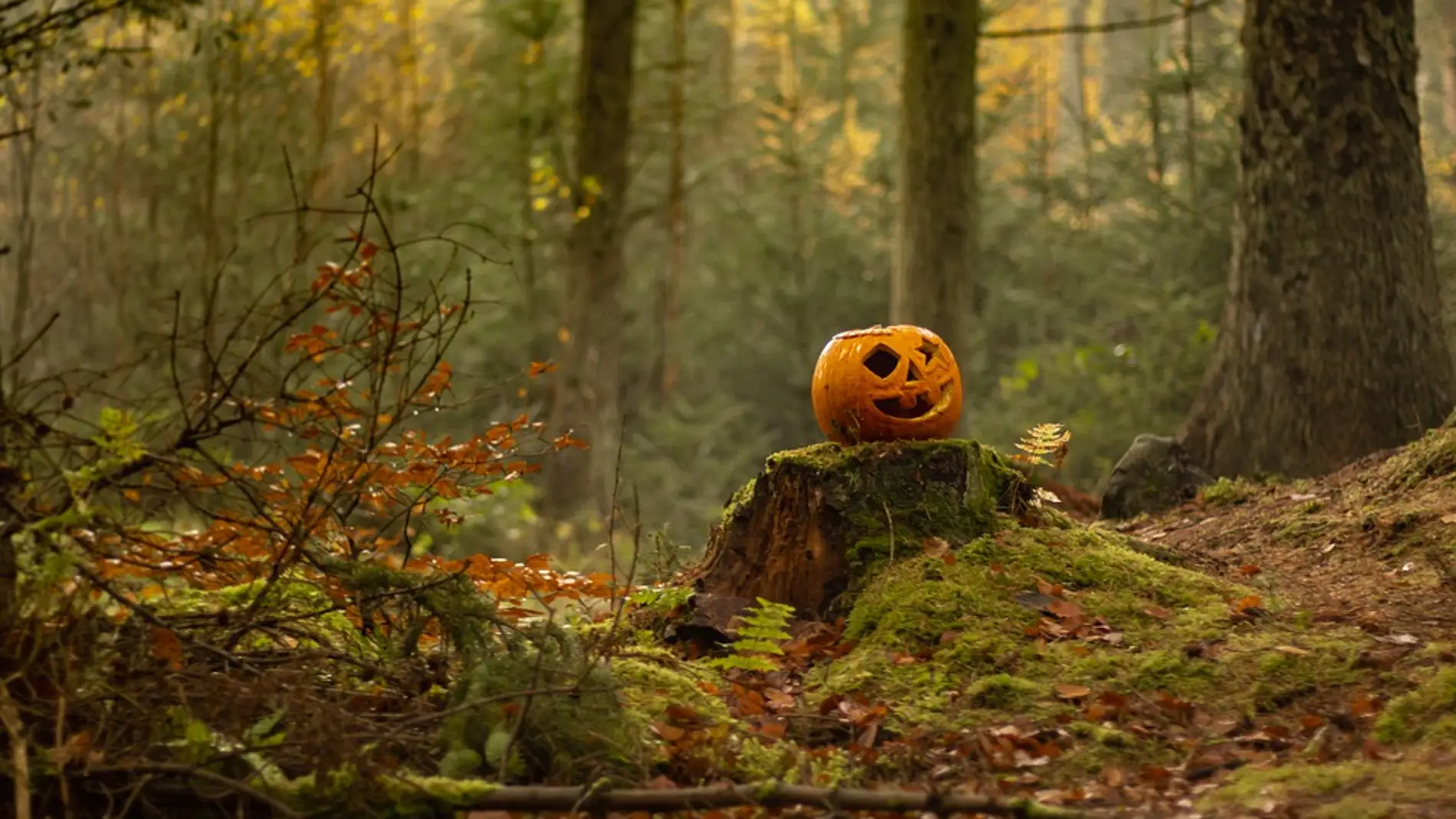 Tres destinos esenciales para los amantes de Halloween: Irlanda, México y Estados Unidos