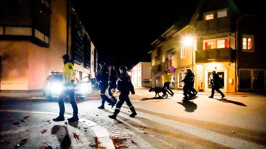 Varios muertos y heridos en un ataque con arco y flechas en un pueblo de Noruega Varios muertos y heridos en un ataque con arco y flechas en un pueblo de Noruega