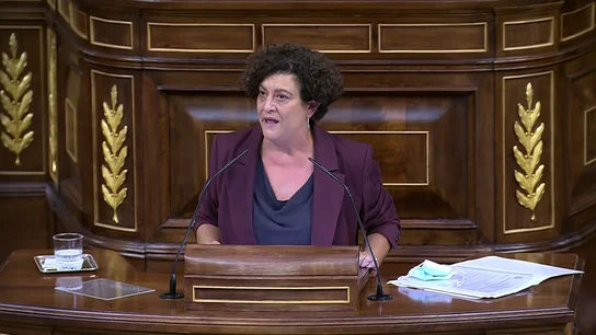 Pilar Vallugera (ERC): "Una diputada ha sido violada y no lo ha denunciado porque no la creerían" Pilar Vallugera (ERC): "Una diputada ha sido violada y no lo ha denunciado porque no la creerían"