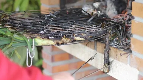 Calçots Calçots