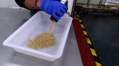 Los secretos del arroz Los secretos del arroz