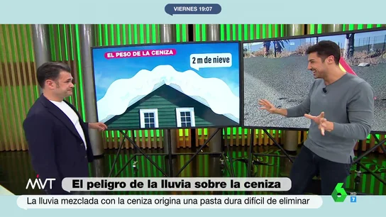 CenizaPalma CenizaPalma