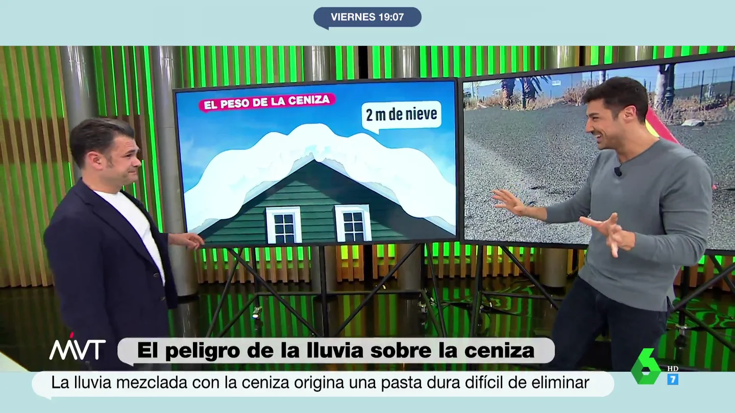 CenizaPalma CenizaPalma