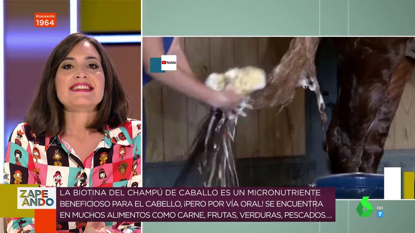Solución al polémico champú de caballo: ¿realmente sirve para frenar la caída de pelo? Solución al polémico champú de caballo: ¿realmente sirve para frenar la caída de pelo?