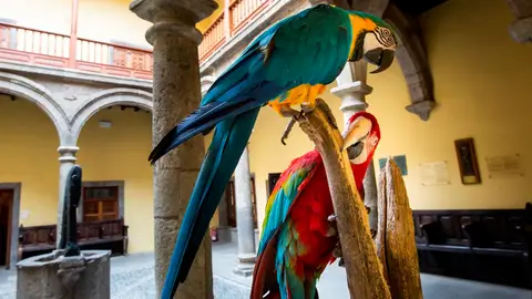 Casa de Colón Casa de Colón
