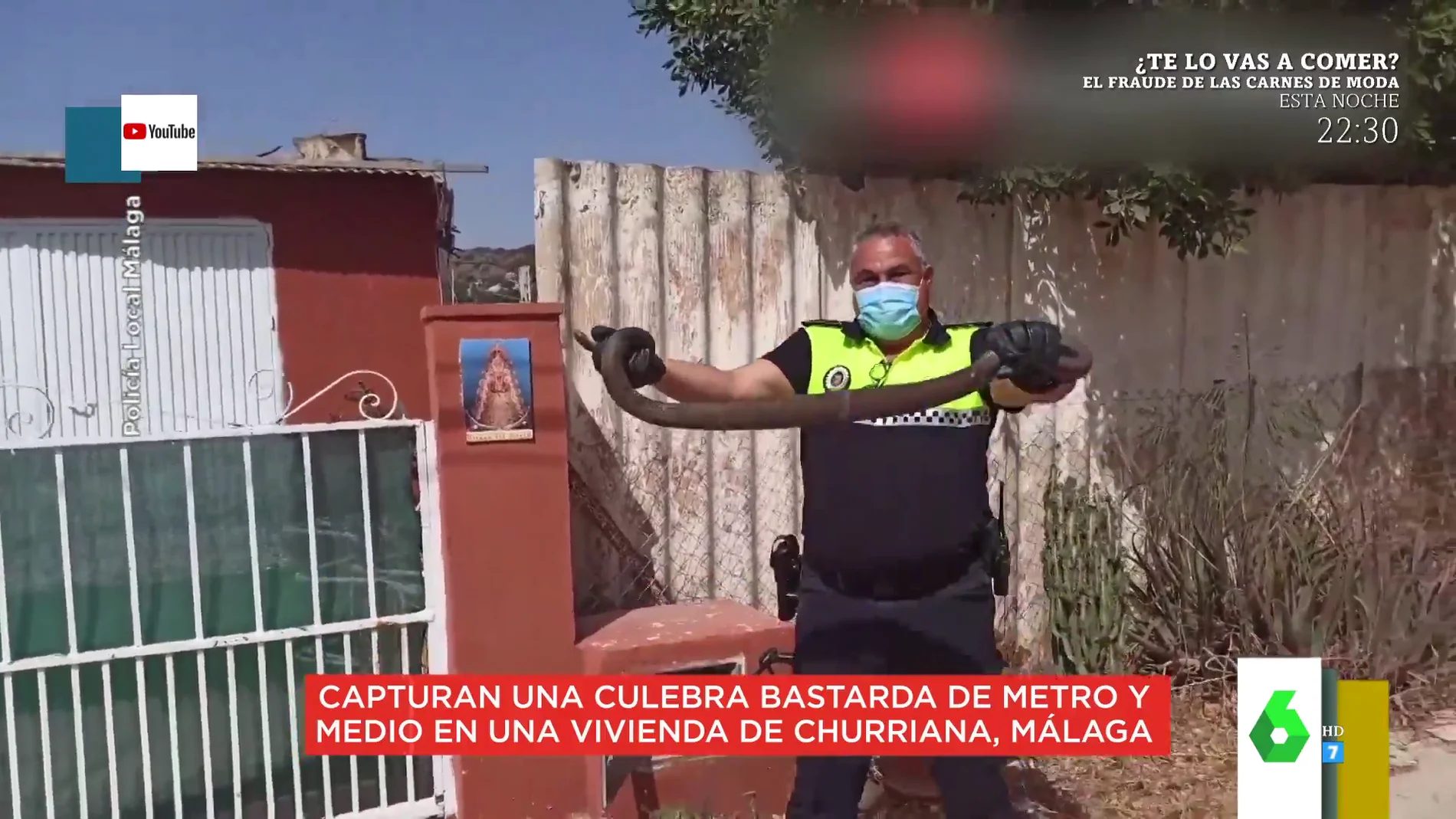 El sorprendente vídeo en el que sacan una culebra de 1,5 metros de largo del contador del agua de una casa de Churriana, Málaga