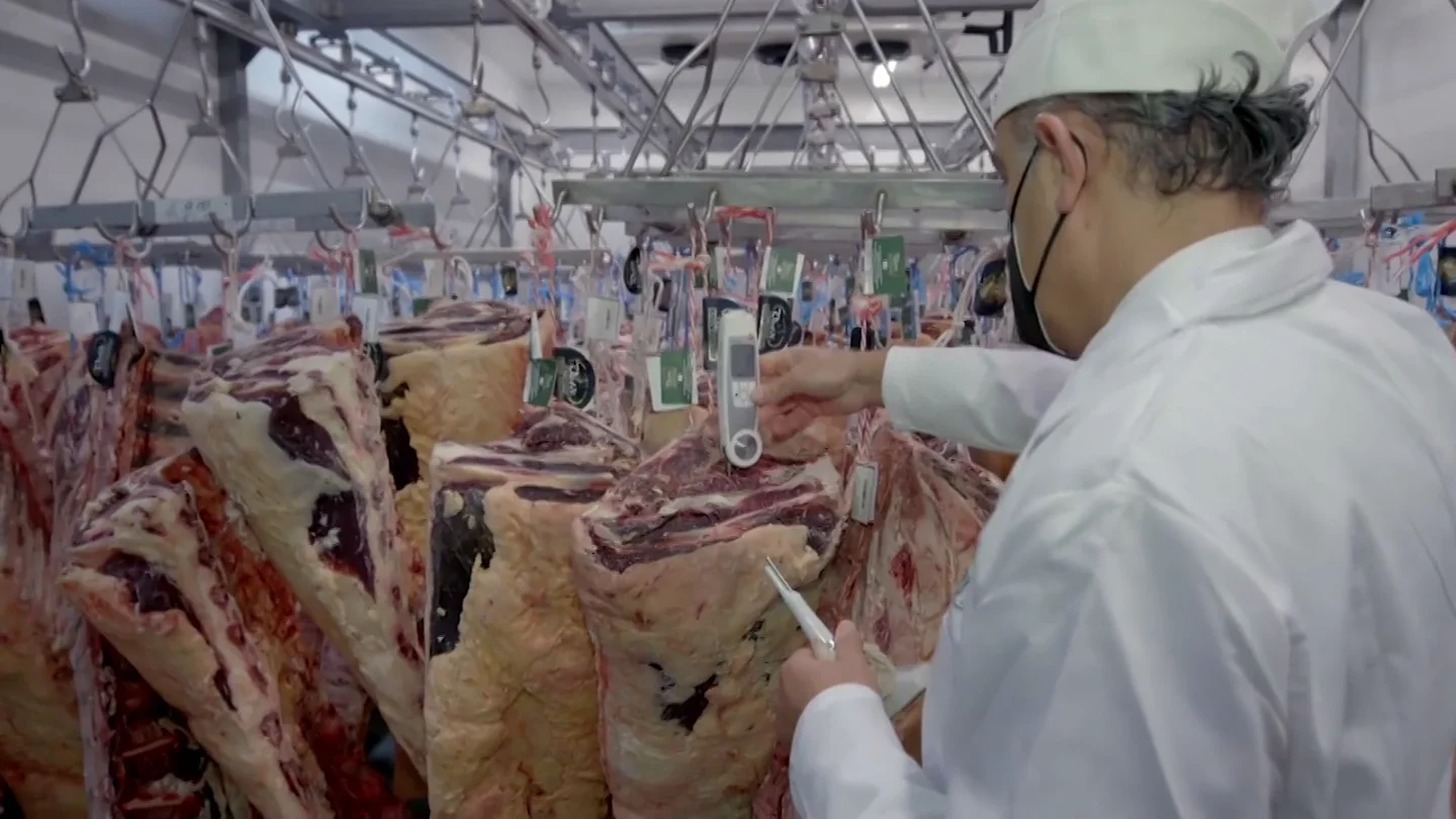 Salmonela y listeria: estos son los peligros de comer carne mal madurada Salmonela y listeria: estos son los peligros de comer carne mal madurada