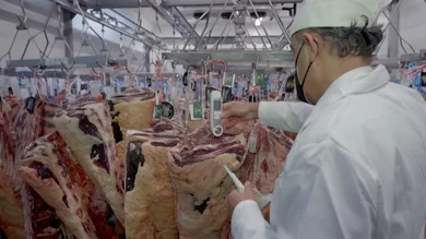 Salmonela y listeria: estos son los peligros de comer carne mal madurada Salmonela y listeria: estos son los peligros de comer carne mal madurada