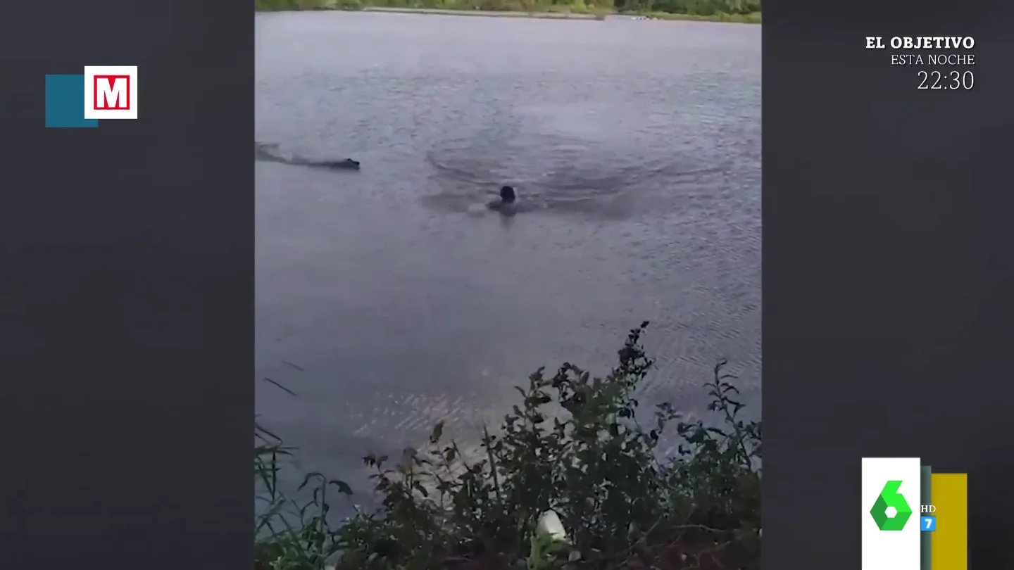Las impactantes imágenes de un caimán nadando a toda velocidad para atacar a un bañista en un lago de Brasil Las impactantes imágenes de un caimán nadando a toda velocidad para atacar a un bañista en un lago de Brasil
