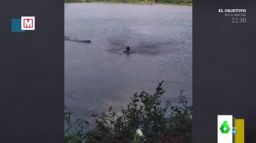 Las impactantes imágenes de un caimán nadando a toda velocidad para atacar a un bañista en un lago de Brasil