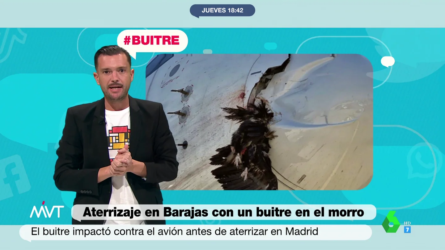 Un buitre choca contra un avión de Iberia y provoca un aterrizaje de emergencia en Barajas Un buitre choca contra un avión de Iberia y provoca un aterrizaje de emergencia en Barajas