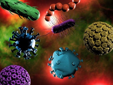 Virus: estos son los necesarios para la vida human
