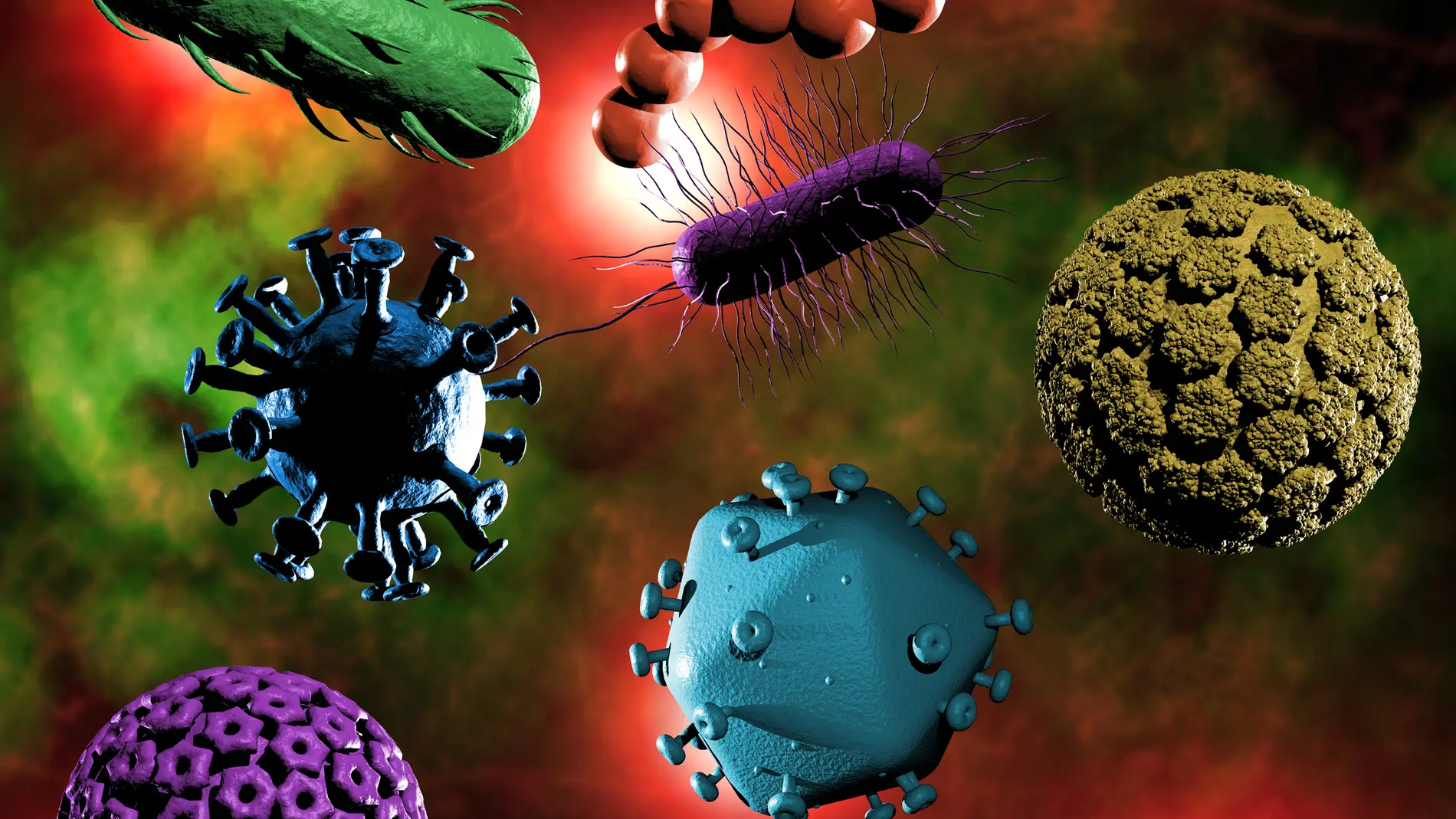 Virus: estos son los necesarios para la vida humana