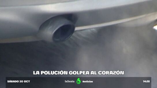 CARDIOLOG&Iacute;A AMBIENTAL