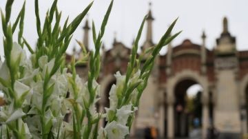 Flores en un cementerio por el Día de Todos los Santos
