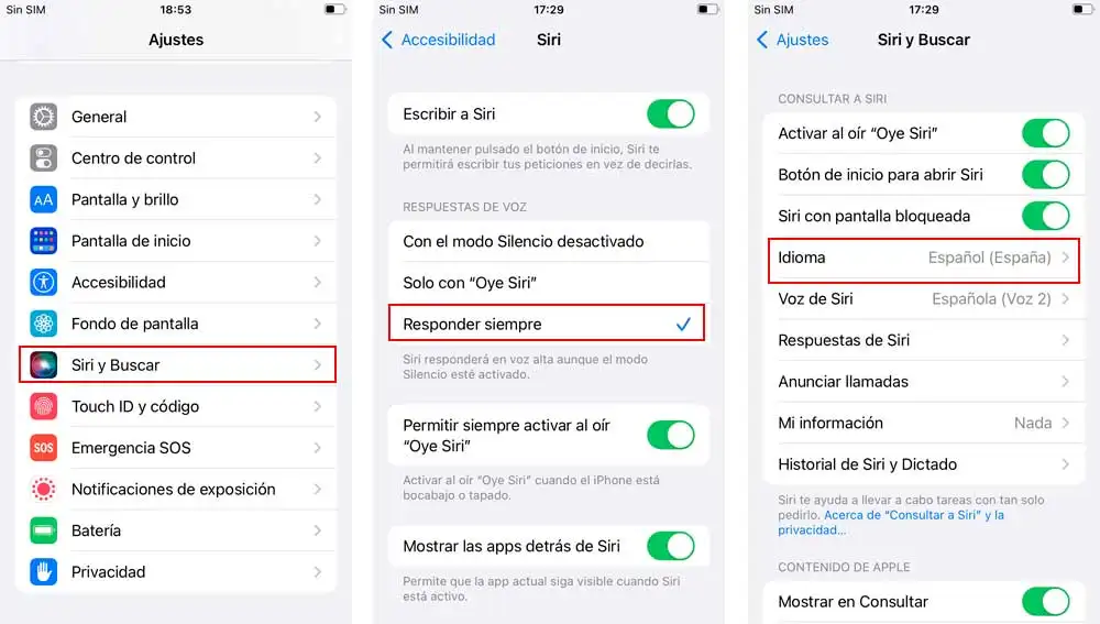 Configurando Siri Configurando Siri