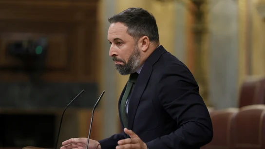 Santiago Abascal, durante un pleno en el Congreso de los Diputados. Santiago Abascal, durante un pleno en el Congreso de los Diputados.