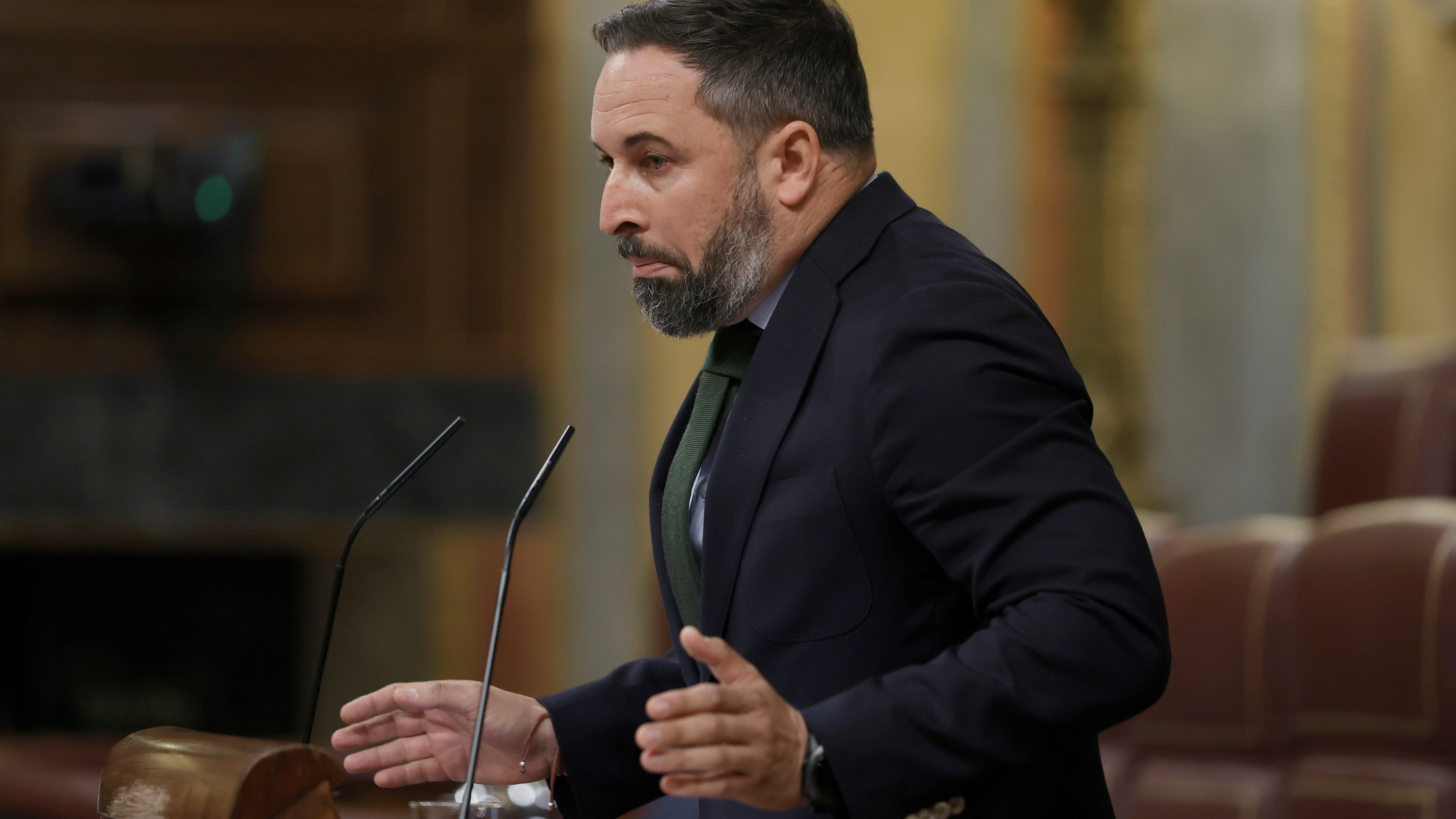 Santiago Abascal, durante un pleno en el Congreso de los Diputados.