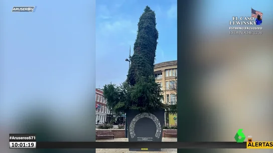 Árbol de Navidad en Derby Árbol de Navidad en Derby
