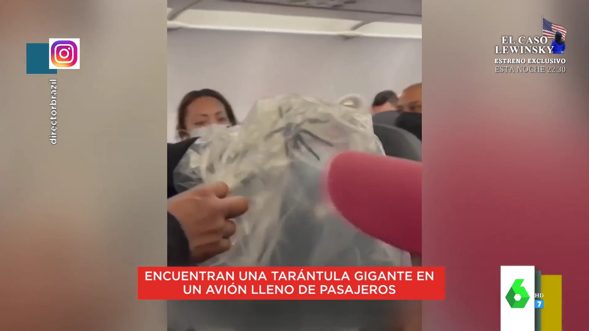 El momento en el que capturan a una enorme tarántula en pleno vuelo entre México y Brasil