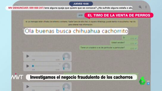 El timo de los perros inexistentes: as&iacute; intentan estafar por internet ofreciendo perros que nunca llegan