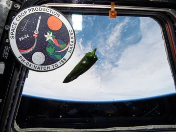 Alimentos cultivados en el espacio Alimentos cultivados en el espacio