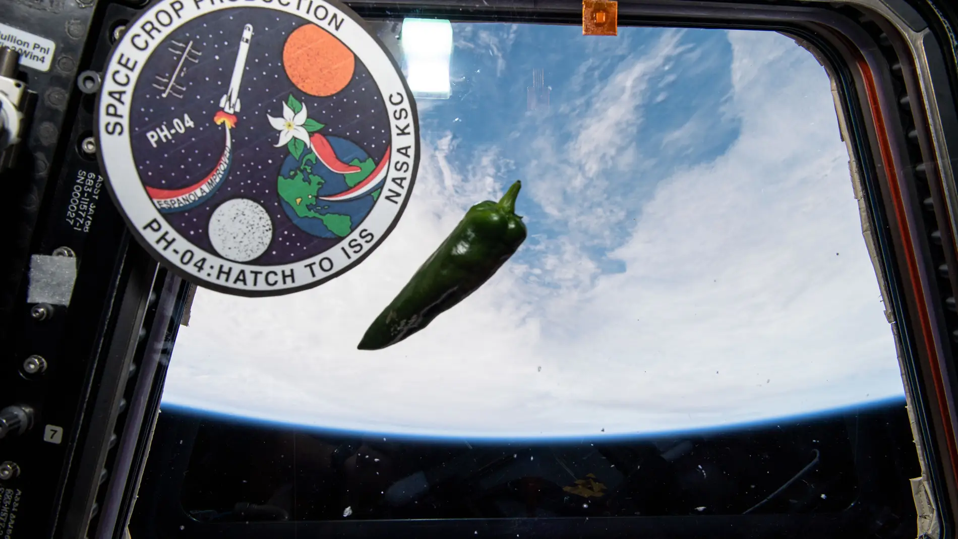 Alimentos cultivados en el espacio