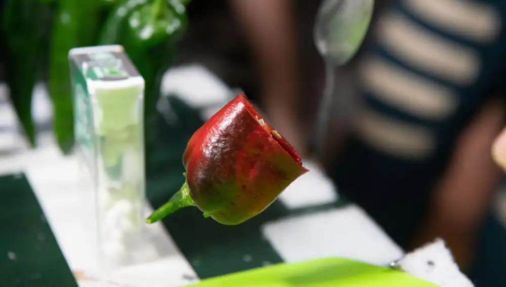 Alimentos cultivados en el espacio