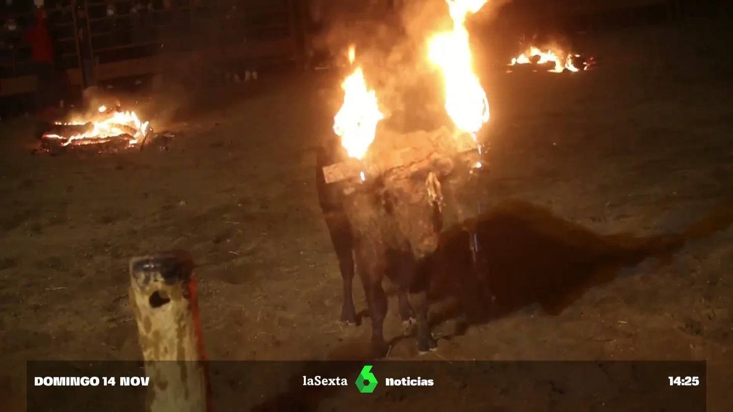 Toro Jubilo de Medinaceli Toro Jubilo de Medinaceli