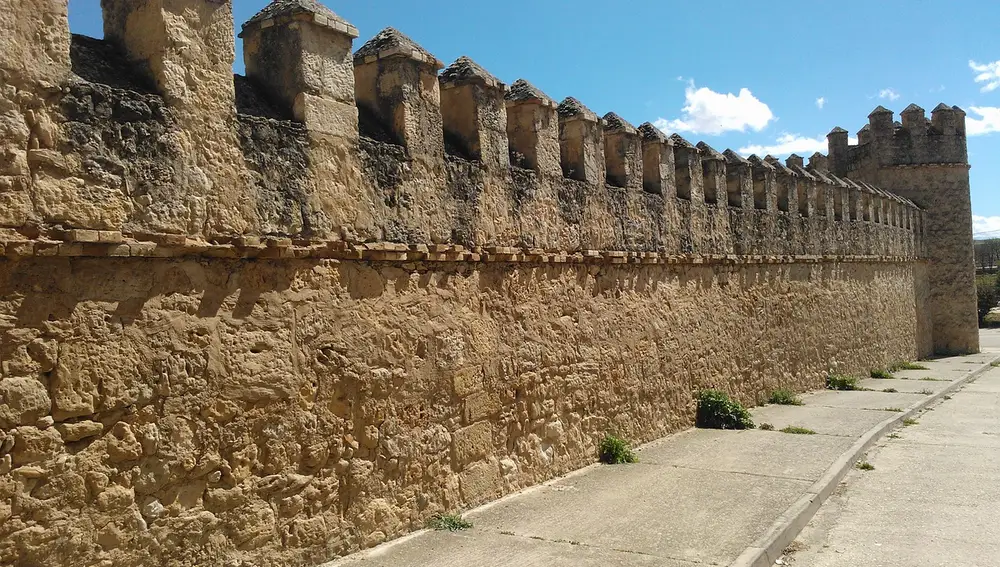Detalle Castillo de Peñaranda de Duero