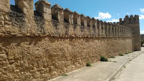 Detalle Castillo de Peñaranda de Duero Detalle Castillo de Peñaranda de Duero