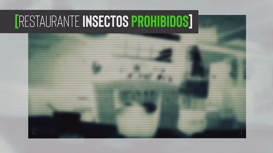 Una cámara oculta de Te lo vas a comer desvela cómo meten los insectos prohibidos en España Una cámara oculta de Te lo vas a comer desvela cómo meten los insectos prohibidos en España
