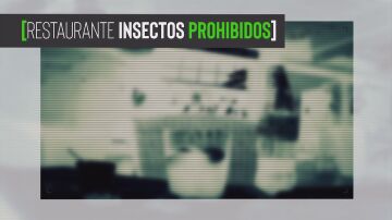 Una cámara oculta de Te lo vas a comer desvela cómo meten los insectos prohibidos en España