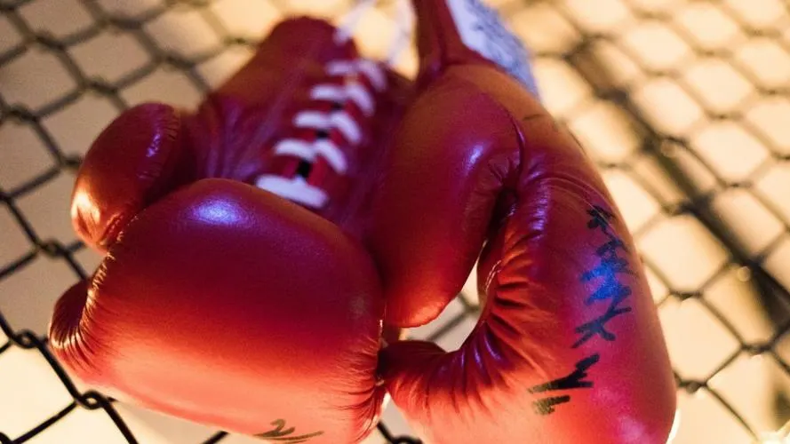 Guantes de boxeo