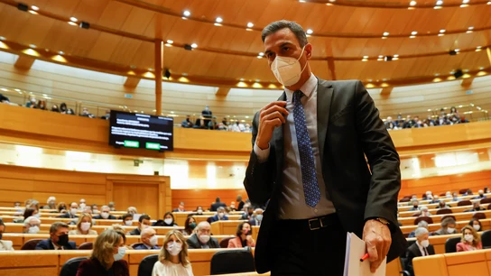 El presidente del Gobierno, Pedro Sánchez, tras su intervención en la sesión de control al Gobierno El presidente del Gobierno, Pedro Sánchez, tras su intervención en la sesión de control al Gobierno