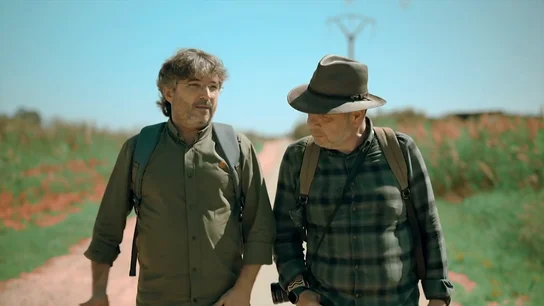La reflexión de Jordi Évole sobre el contenido digital: "Lo que hace Ibai Llanos podría ser la escaleta de un programa de radio" La reflexión de Jordi Évole sobre el contenido digital: "Lo que hace Ibai Llanos podría ser la escaleta de un programa de radio"