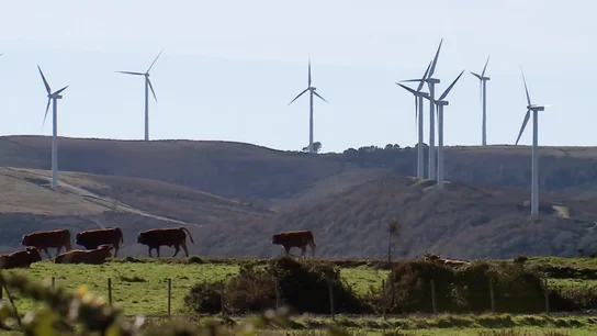 Muras, el concello gallego con 381 aerogeneradores para 650 habitantes Muras, el concello gallego con 381 aerogeneradores para 650 habitantes