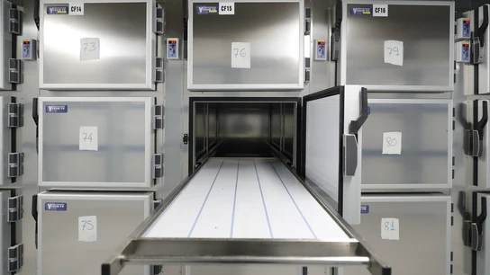 Imagen de archivo de una morgue Imagen de archivo de una morgue