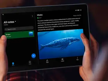 Cómo cambiar el navegador web por defecto en tu tableta Android Cómo cambiar el navegador web por defecto en tu tableta Android